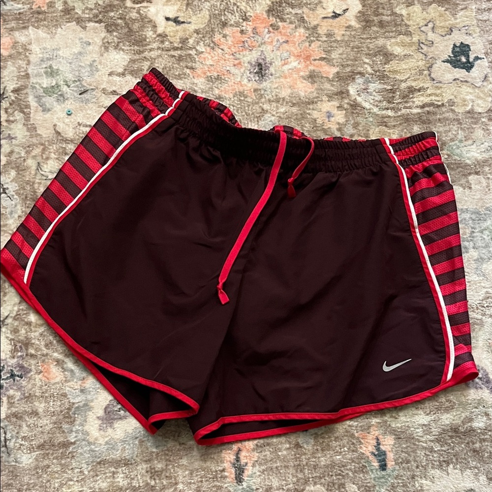 Nike Dri-Fit Plum and cherry Pink Striped Shorts M